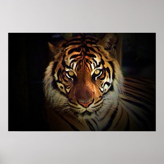 Tijgerogen Poster - Wilde Dieren Posters (Voorkant)