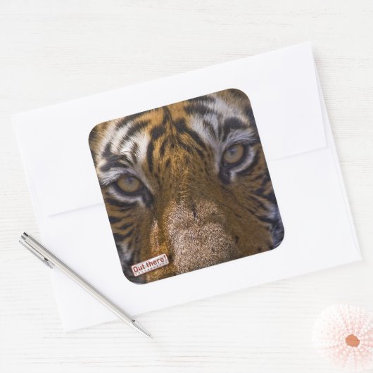 Tijgerogen Vierkante Sticker (Envelop)