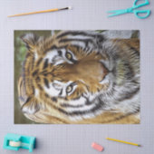 tijgerolieverf tissuepapier (Craft)