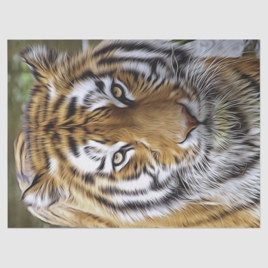 tijgerolieverf tissuepapier (Voorkant)