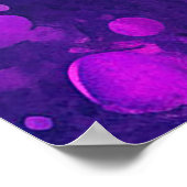 Tijgerportret Poster (Hoek)