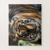Tijgerprofiel Legpuzzel (Verticaal)