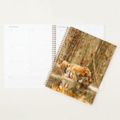 Tijgerreflectie Planner (Display)