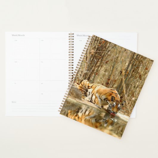 Tijgerreflectie Planner (Display)