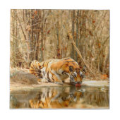 Tijgerreflectie Tegeltje (Voorkant)