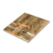 Tijgerreflectie Tegeltje (Zijkant)