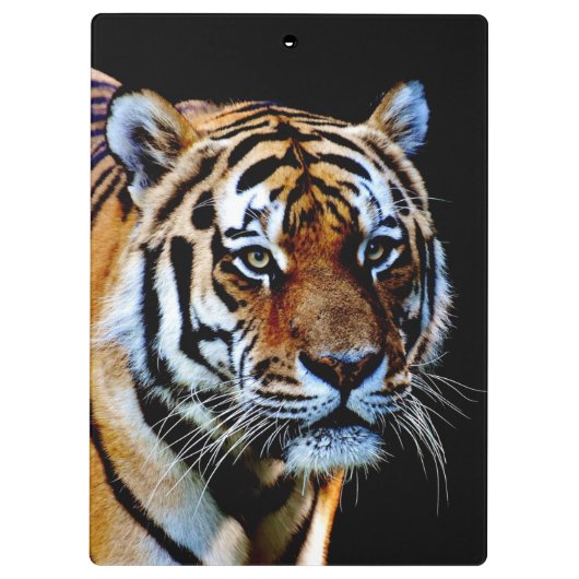 tijgerroofdier klembord (Achterkant)