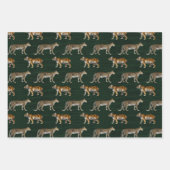 Tijgers en luipaarden op groen inpakpapier vel (Voorkant 2)