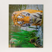 Tijgers Grote Katachtigen. Legpuzzel (Verticaal)