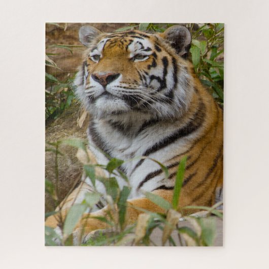 Tijgers Grote Katachtigen. Legpuzzel (Verticaal)