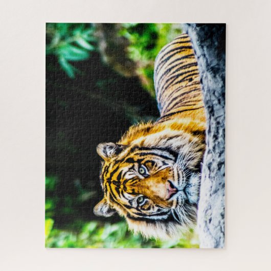 Tijgers Grote Katachtigen. Legpuzzel (Verticaal)