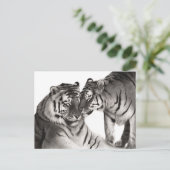 Tijgers - Handgeschilderd Wildlife Portret Briefkaart (Staand voorkant)