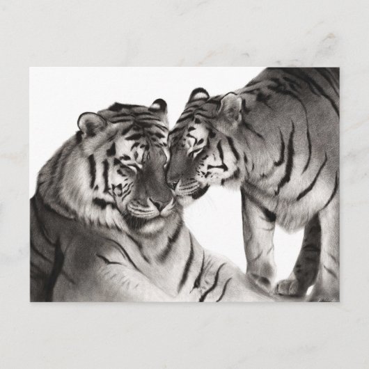 Tijgers - Handgeschilderd Wildlife Portret Briefkaart (Voorkant)