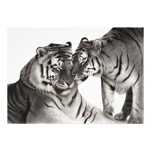 Tijgers - Handgeschilderd Wildlife Portret Foto Afdruk (Voorkant)