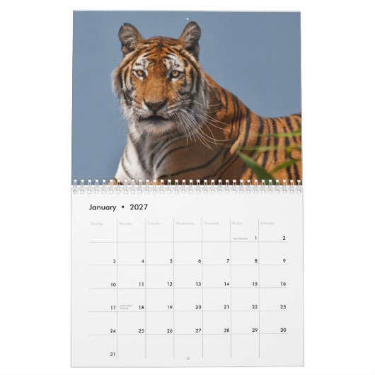 Tijgers Kalender (Jan 2027)