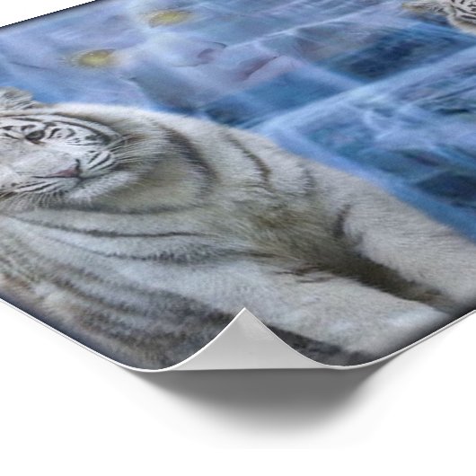 tijgers terugtrekken poster (Hoek)