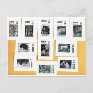 Tijgers van alle 4 kleuren briefkaart