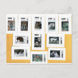Tijgers van alle 4 kleuren briefkaart