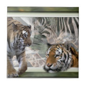 Tijgers, Zebra, Giraffe, primitief Oerwoud Tegeltje (Voorkant)