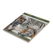 Tijgers, Zebra, Giraffe, primitief Oerwoud Tegeltje (Zijkant)