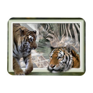 Tijgers, zebra, giraffe, primitieve jungle magneet
