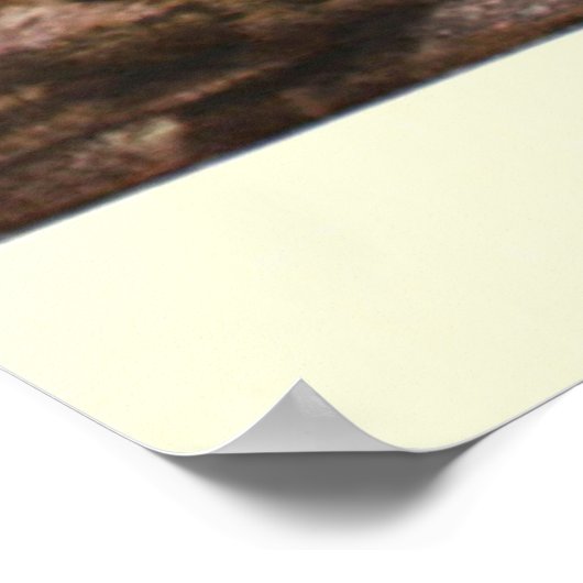 tijgerschilderen (1909) poster (Hoek)