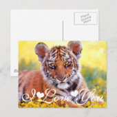 Tijgersnede, ik hou van je briefkaart (Voorkant / Achterkant)