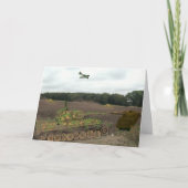 tijgerspaanders kaart (Voorkant)