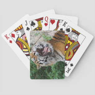 Tijgerspeelkaarten Pokerkaarten