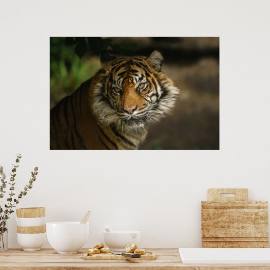 Tijgerstaart Poster (Keuken)