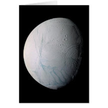 Tijgerstaven, vers, op Enceladus