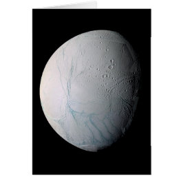 Tijgerstaven, vers, op Enceladus