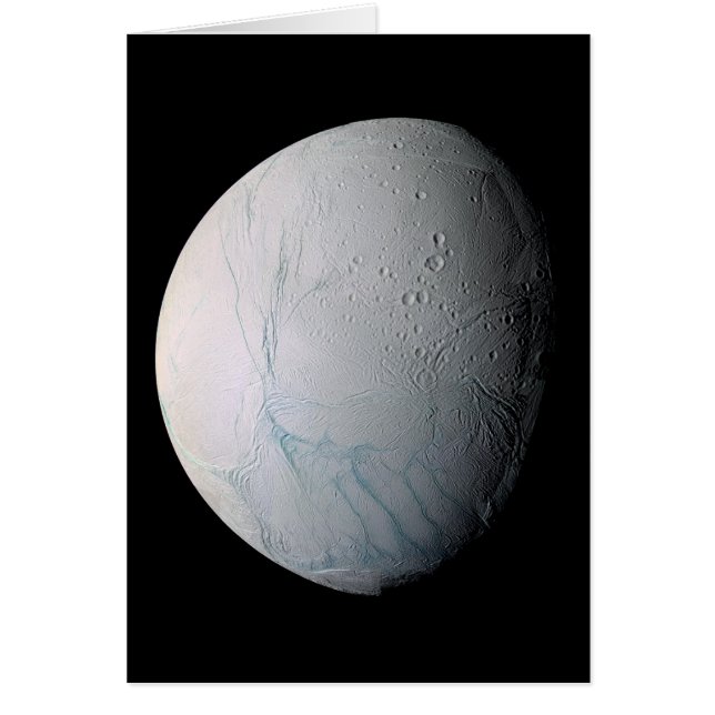 Tijgerstaven, vers, op Enceladus (Voorkant)