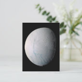 Tijgerstaven, vers, op Enceladus Briefkaart (Staand voorkant)