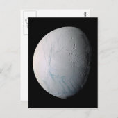 Tijgerstaven, vers, op Enceladus Briefkaart (Voorkant / Achterkant)