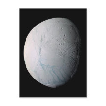 Tijgerstaven, vers, op Enceladus