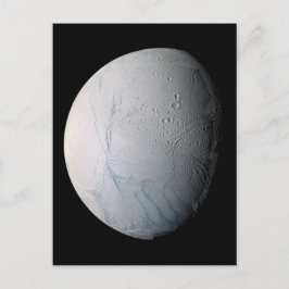 Tijgerstaven, vers, op Enceladus Briefkaart