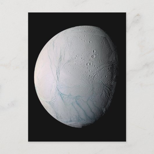 Tijgerstaven, vers, op Enceladus Briefkaart (Voorkant)