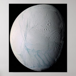 Tijgerstaven, vers, op Enceladus Poster