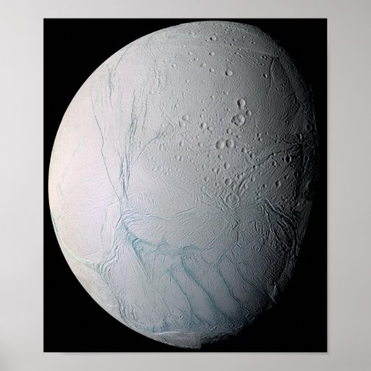 Tijgerstaven, vers, op Enceladus Poster (Voorkant)