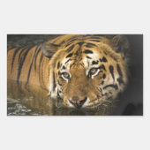 tijgerstickers rechthoekige sticker (Voorkant)