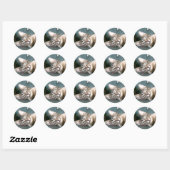 Tijgerstreep kitten Stickers (Vel)