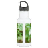 Tijgerstreepvlinder Waterfles (Achterkant)