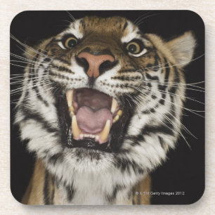 Tijgerteelt 2 drankjes onderzetter