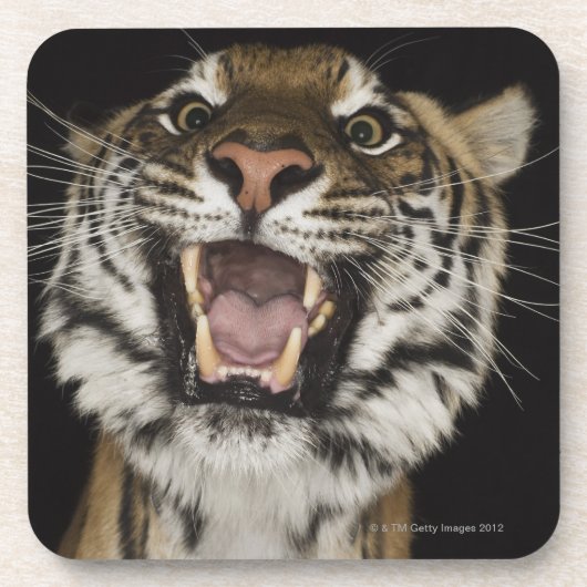 Tijgerteelt 2 drankjes onderzetter (Voorkant)