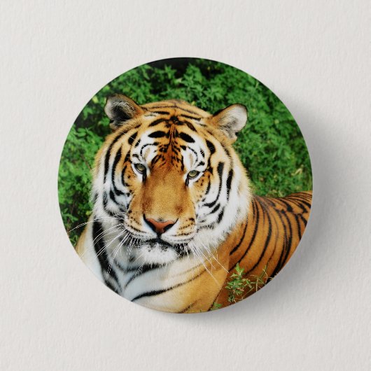 Tijgerversoepeling Ronde Button 5,7 Cm (Voorkant)