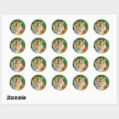 Tijgerversoepeling Ronde Sticker (Vel)
