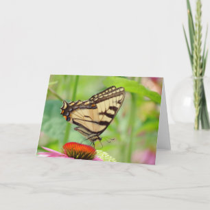 Tijgervleugels op Coneflower - Butterfly Feestdagen Kaart