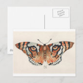 tijgervlieger briefkaart (Voorkant / Achterkant)