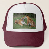Tijgervrienden-007 Trucker Pet (Voorkant)